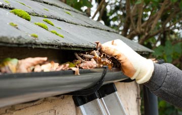 gutter cleaning Hampers Green, West Sussex